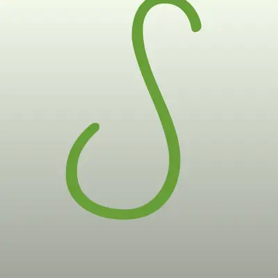 Шанс
